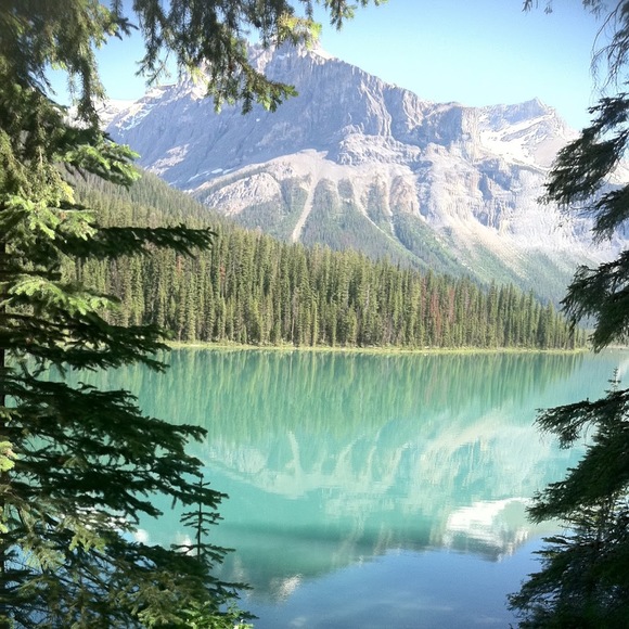 Meet your Posher, Pam - Picture 1 of 1